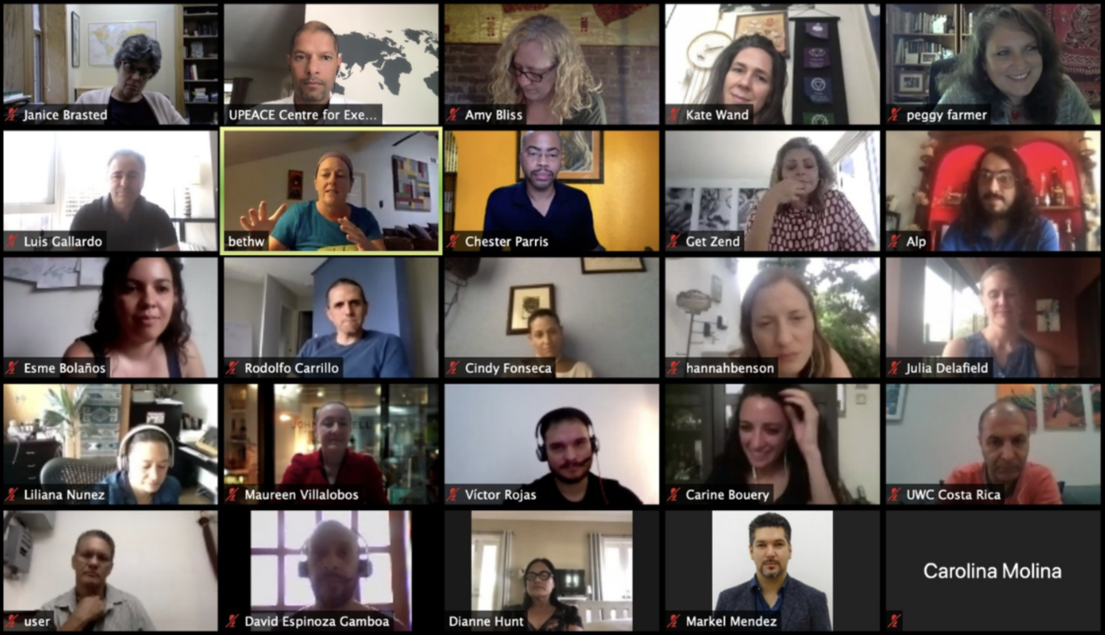 An interactive live virtual learning session