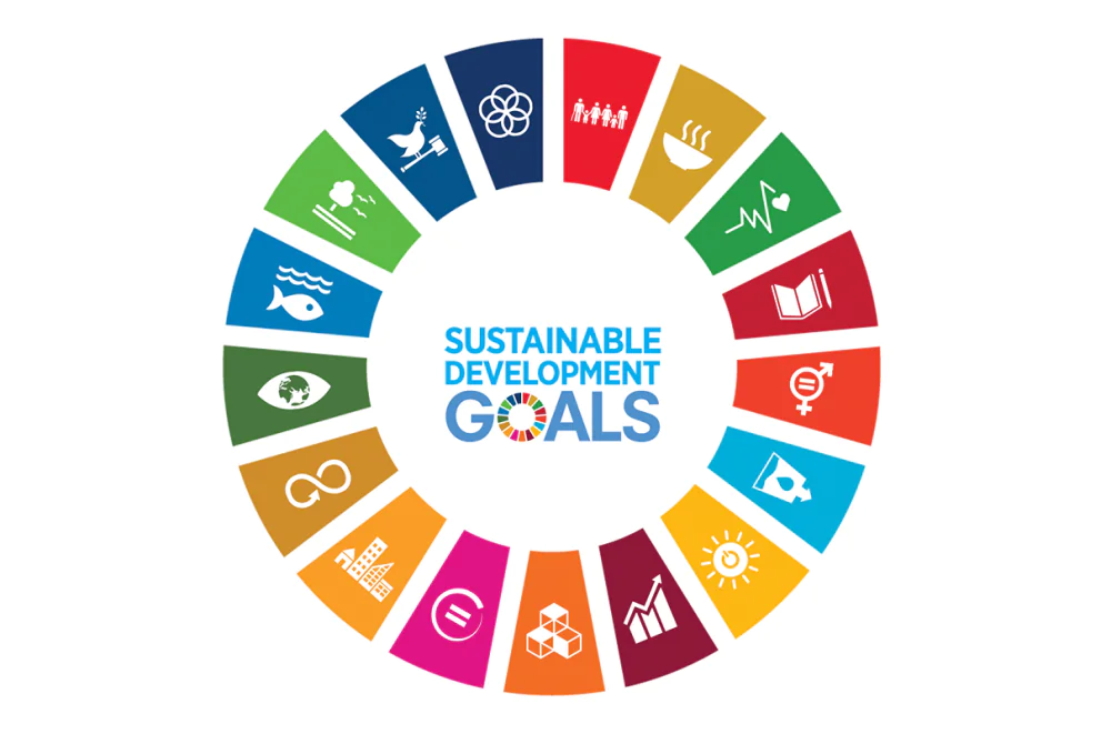 United Nations Sustainable Development Goals