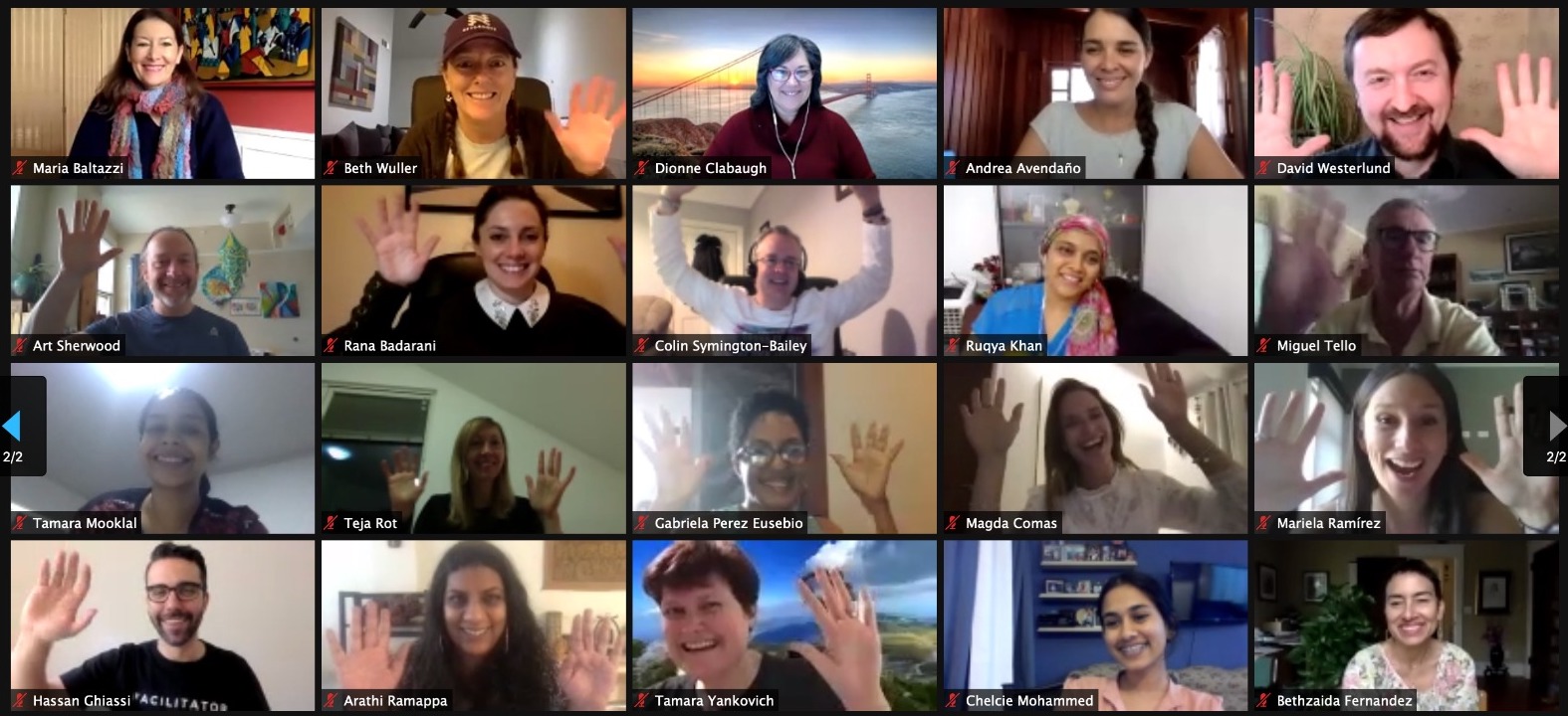 Online participants from a past edition