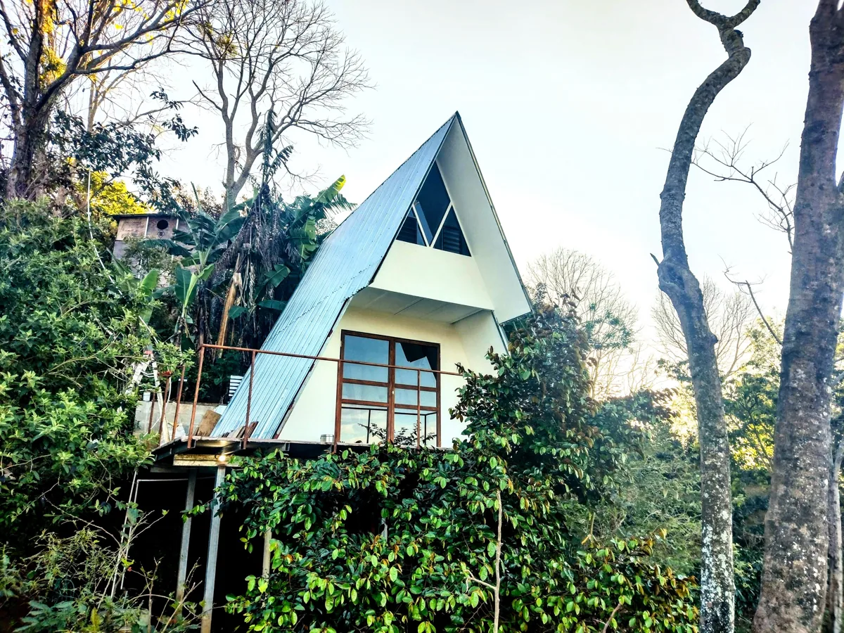 Coffee and culture experience in Costa Rica
