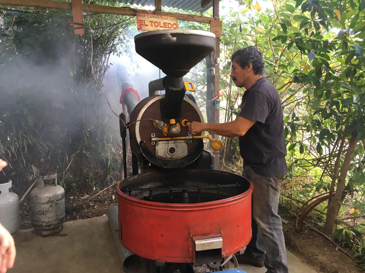 Coffee and culture experience in Costa Rica